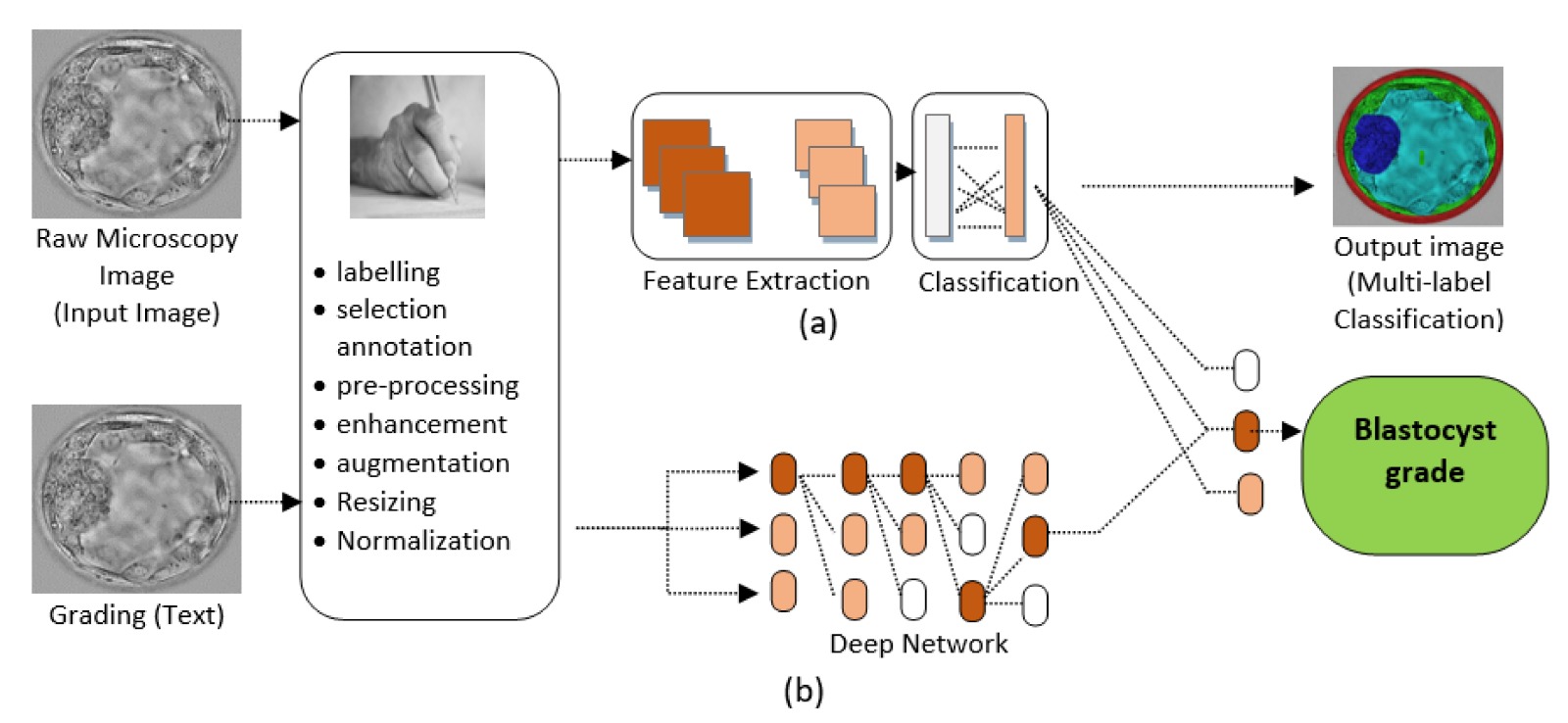 AI Grading Process